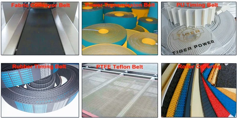 Widely Selling Power Transmission Belt for Light-Duty and Medium Conveyors